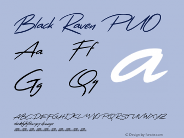 Black Raven Personal Use Version 001.000图片样张
