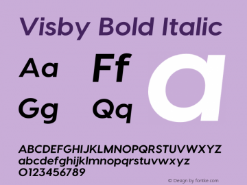 Visby Bold Italic 