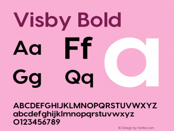 Visby Bold 