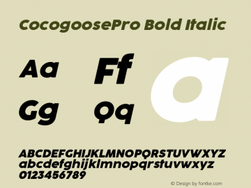 CocogoosePro Bold Italic Version 1.000;hotconv 1.0.109;makeotfexe 2.5.65596图片样张
