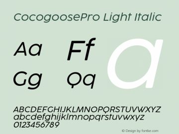 CocogoosePro Light Italic Version 1.000;hotconv 1.0.109;makeotfexe 2.5.65596图片样张