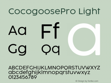 CocogoosePro Light Version 1.000;hotconv 1.0.109;makeotfexe 2.5.65596图片样张