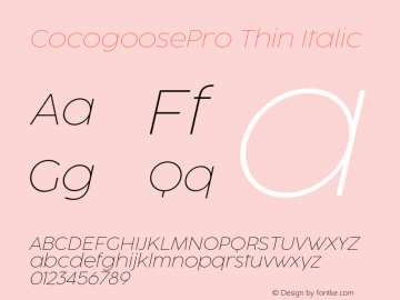 CocogoosePro Thin Italic Version 1.000;hotconv 1.0.109;makeotfexe 2.5.65596图片样张