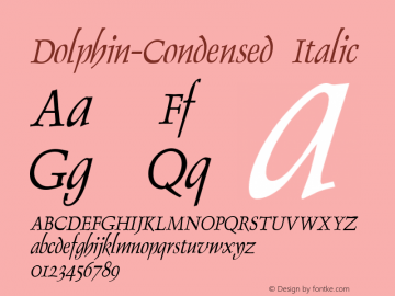 Dolphin-Condensed Italic 1.0/1995: 2.0/2001图片样张