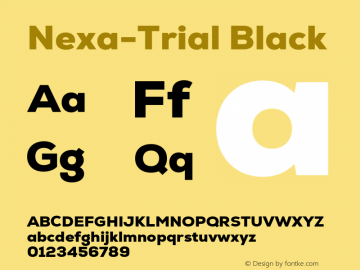 Nexa-Trial Black Version 2.001;FEAKit 1.0图片样张
