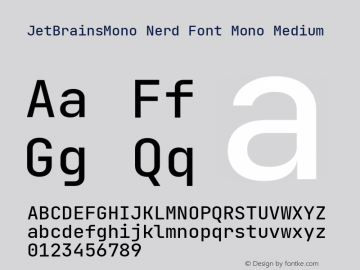 JetBrains Mono Medium Nerd Font Complete Mono Version 2.242; ttfautohint (v1.8.3)图片样张