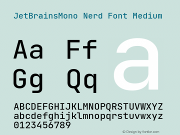JetBrains Mono Medium Nerd Font Complete Version 2.242; ttfautohint (v1.8.3)图片样张