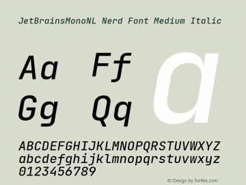 JetBrains Mono NL Medium Italic Nerd Font Complete Version 2.242; ttfautohint (v1.8.3)图片样张