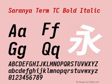 Saranya Term TC Bold Italic 图片样张