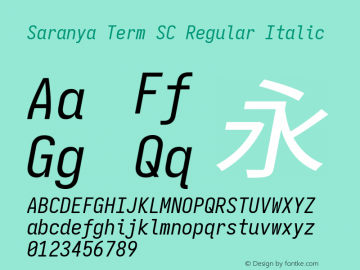 Saranya Term SC Regular Italic 图片样张