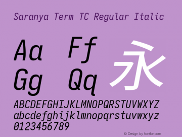Saranya Term TC Regular Italic 图片样张