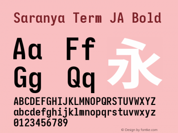 Saranya Term JA Bold 图片样张