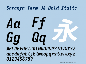 Saranya Term JA Bold Italic 图片样张