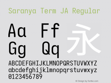 Saranya Term JA Regular 图片样张