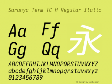 Saranya Term TC H Regular Italic 图片样张