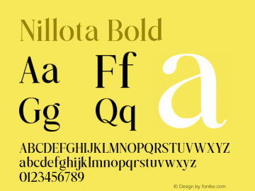 Nillota Bold Version 1.000图片样张