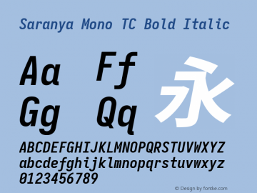 Saranya Mono TC Bold Italic 图片样张