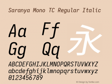 Saranya Mono TC Regular Italic 图片样张