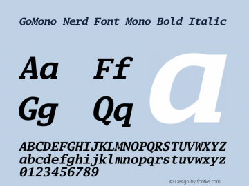 Go Mono Bold Italic Nerd Font Complete Mono Version 2.008; ttfautohint (v1.6);Nerd Fonts  2.2.0-RC图片样张