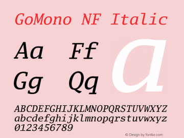 Go Mono Italic Nerd Font Complete Mono Windows Compatible Version 2.008; ttfautohint (v1.6);Nerd Fonts  2.2.0-RC图片样张