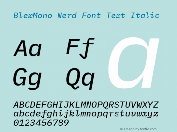 Blex Mono Text Italic Nerd Font Complete Version 2.000;Nerd Fonts 2.1.0图片样张