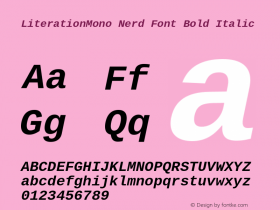 Literation Mono Bold Italic Nerd Font Complete Version 2.00.5;Nerd Fonts 2.1.0图片样张