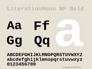 Literation Mono Bold Nerd Font Complete Mono Windows Compatible Version 2.00.5;Nerd Fonts 2.1.0图片样张