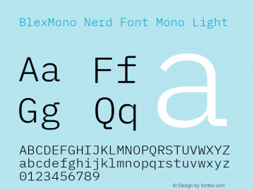 Blex Mono Light Nerd Font Complete Mono Version 2.000;Nerd Fonts 2.1.0图片样张