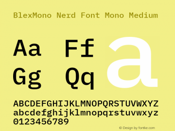 Blex Mono Medium Nerd Font Complete Mono Version 2.000;Nerd Fonts 2.1.0图片样张