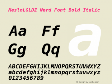 Meslo LG L DZ Bold Italic Nerd Font Complete Version 1.210;Nerd Fonts 2.1.0图片样张