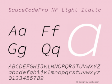 Sauce Code Pro Light Italic Nerd Font Complete Windows Compatible Version 1.050;PS 1.000;hotconv 16.6.51;makeotf.lib2.5.65220;Nerd Fonts 2.1.0图片样张