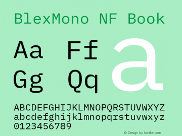 Blex Mono Nerd Font Complete Mono Windows Compatible Version 2.000;Nerd Fonts 2.1.0图片样张