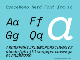 Space Mono Italic Nerd Font Complete Version 1.000;PS 1.000;hotconv 1.0.81;makeotf.lib2.5.63406;Nerd Fonts 2.1.0图片样张