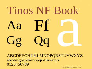 Tinos Nerd Font Complete Windows Compatible Version 1.23;Nerd Fonts 2.1.0图片样张