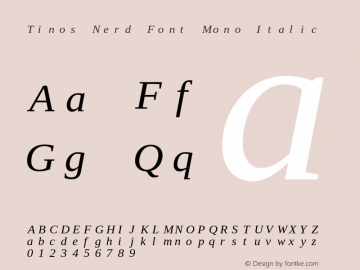Tinos Italic Nerd Font Complete Mono Version 1.23;Nerd Fonts 2.1.0图片样张