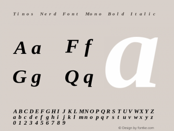 Tinos Bold Italic Nerd Font Complete Mono Version 1.23;Nerd Fonts 2.1.0图片样张