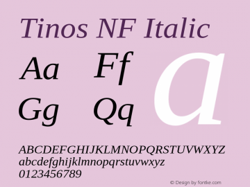 Tinos Italic Nerd Font Complete Windows Compatible Version 1.23;Nerd Fonts 2.1.0图片样张