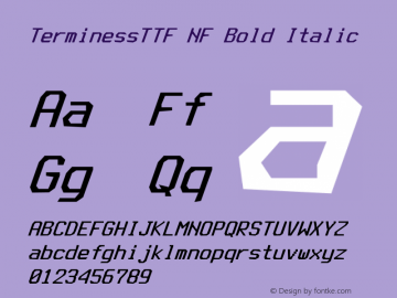 Terminess (TTF) Bold Italic Nerd Font Complete Windows Compatible Version 4.40.1;Nerd Fonts 2.1.0图片样张