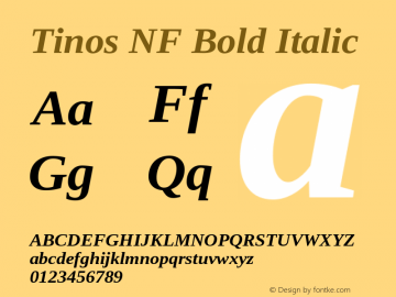 Tinos Bold Italic Nerd Font Complete Windows Compatible Version 1.23;Nerd Fonts 2.1.0图片样张