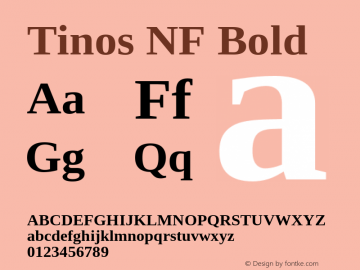 Tinos Bold Nerd Font Complete Windows Compatible Version 1.23;Nerd Fonts 2.1.0图片样张