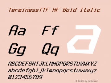 Terminess (TTF) Bold Italic Nerd Font Complete Mono Windows Compatible Version 4.40.1;Nerd Fonts 2.1.0图片样张