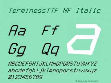 Terminess (TTF) Italic Nerd Font Complete Mono Windows Compatible Version 4.40.1;Nerd Fonts 2.1.0图片样张