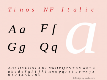 Tinos Italic Nerd Font Complete Mono Windows Compatible Version 1.23;Nerd Fonts 2.1.0图片样张