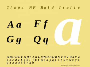 Tinos Bold Italic Nerd Font Complete Mono Windows Compatible Version 1.23;Nerd Fonts 2.1.0图片样张