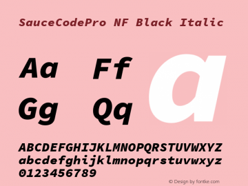 Sauce Code Pro Black Italic Nerd Font Complete Windows Compatible Version 1.050;PS 1.000;hotconv 16.6.51;makeotf.lib2.5.65220;Nerd Fonts 2.1.0图片样张