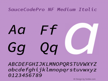 Sauce Code Pro Medium Italic Nerd Font Complete Windows Compatible Version 1.050;PS 1.000;hotconv 16.6.51;makeotf.lib2.5.65220;Nerd Fonts 2.1.0图片样张