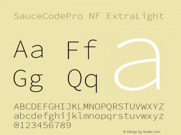 Sauce Code Pro ExtraLight Nerd Font Complete Windows Compatible Version 2.030;PS 1.000;hotconv 16.6.51;makeotf.lib2.5.65220;Nerd Fonts 2.1.0图片样张