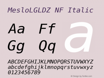 Meslo LG L DZ Italic Nerd Font Complete Windows Compatible Version 1.210;Nerd Fonts 2.1.0图片样张