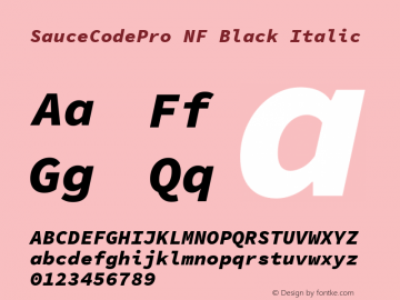 Sauce Code Pro Black Italic Nerd Font Complete Mono Windows Compatible Version 1.050;PS 1.000;hotconv 16.6.51;makeotf.lib2.5.65220;Nerd Fonts 2.1.0图片样张