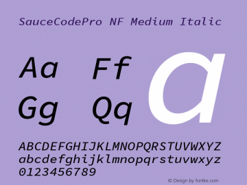 Sauce Code Pro Medium Italic Nerd Font Complete Mono Windows Compatible Version 1.050;PS 1.000;hotconv 16.6.51;makeotf.lib2.5.65220;Nerd Fonts 2.1.0图片样张